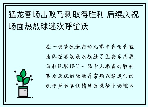猛龙客场击败马刺取得胜利 后续庆祝场面热烈球迷欢呼雀跃
