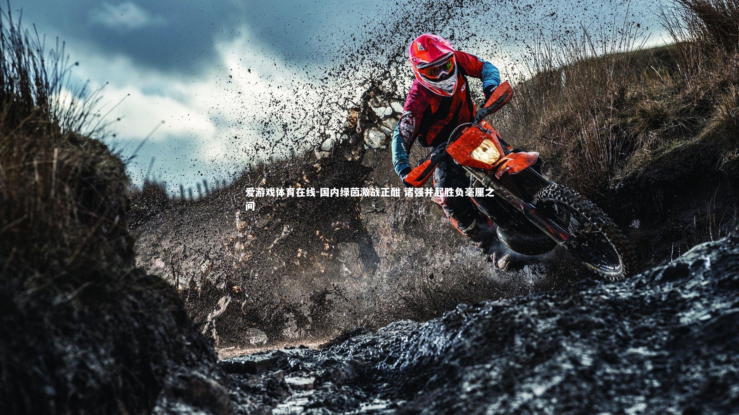 国内绿茵激战正酣 诸强并起胜负毫厘之间