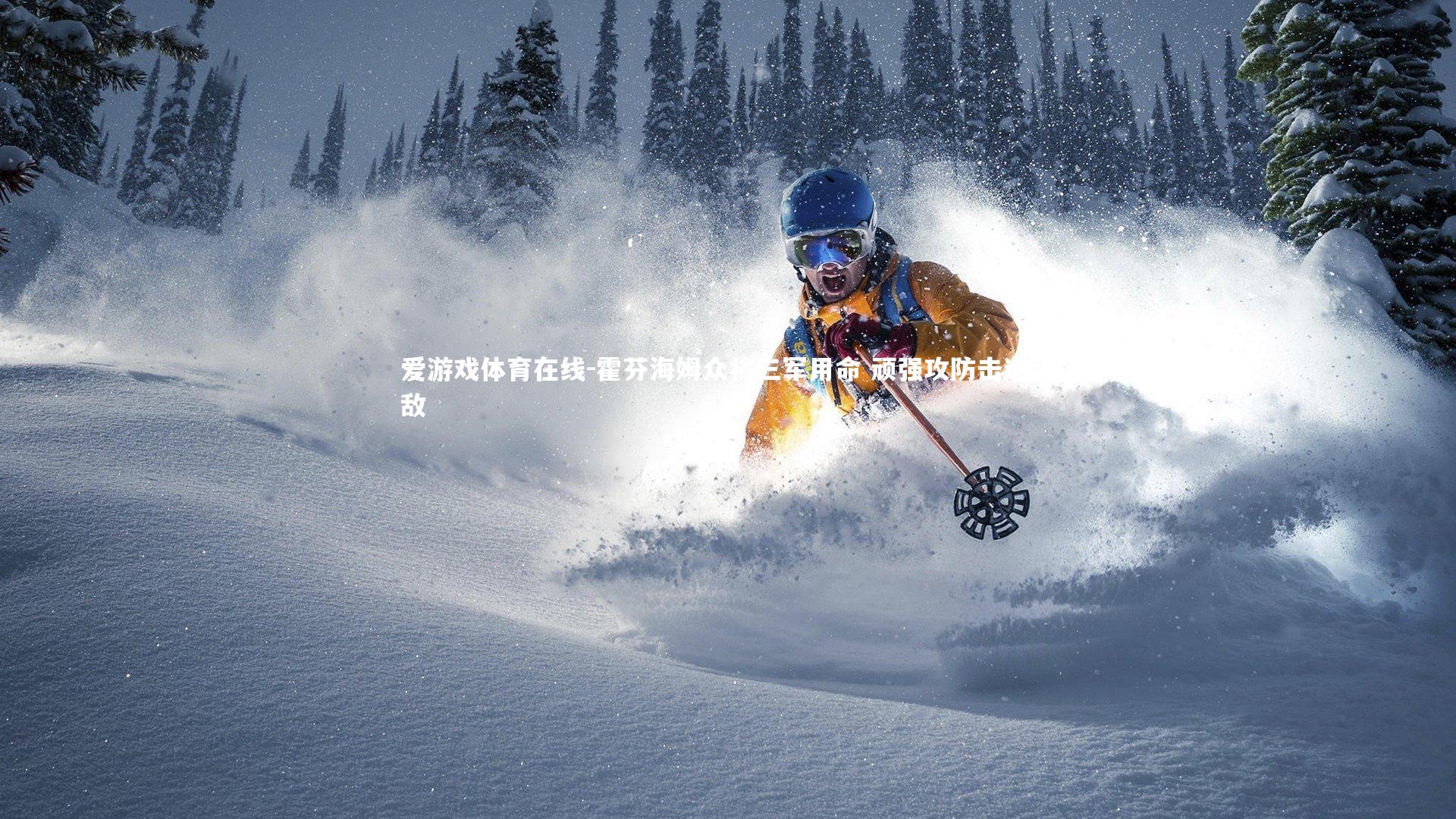 霍芬海姆众将三军用命 顽强攻防击退强敌